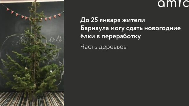 Куда сдать елку на переработку в Барнауле