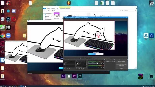 Bongo cat cam _ Как поставить в обс, в zoom