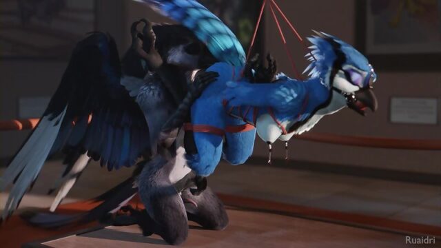 3D Yiff by ruaidri Furry Porn Sex E621 Female Avian Bondage BDSM